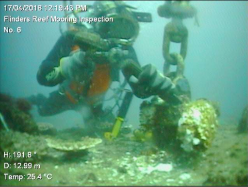 Jody Diving Flinders Reef